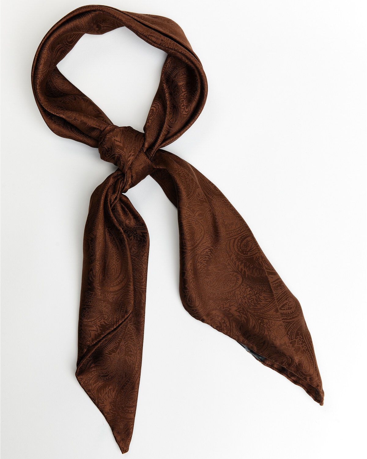 Cody James Men's Silk Wild Rag Scarf