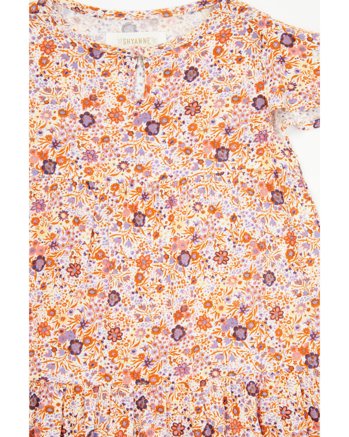 174836-shyanne-toddler-girls-floral-print-ruffle-dress-1.jpg