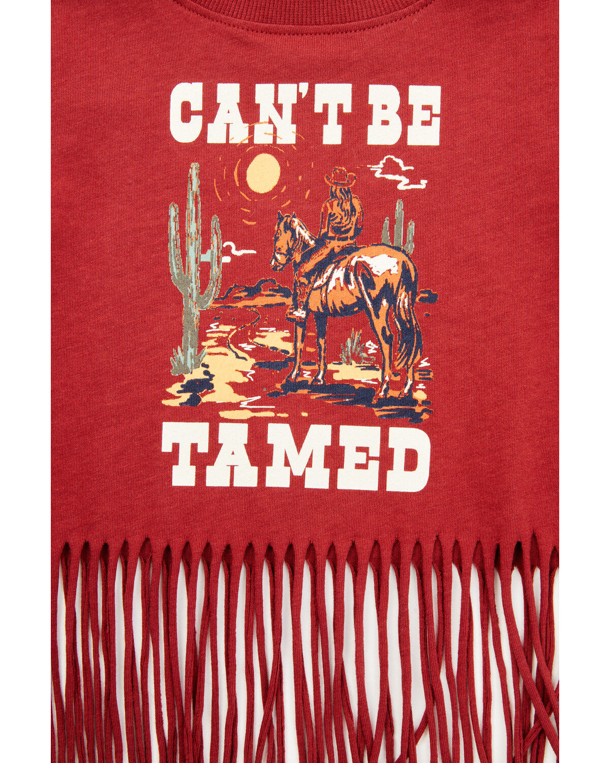 246991-shyanne-toddler-girls-can-t-be-tamed-short-sleeve-fringe-graphic-tee-1.jpg