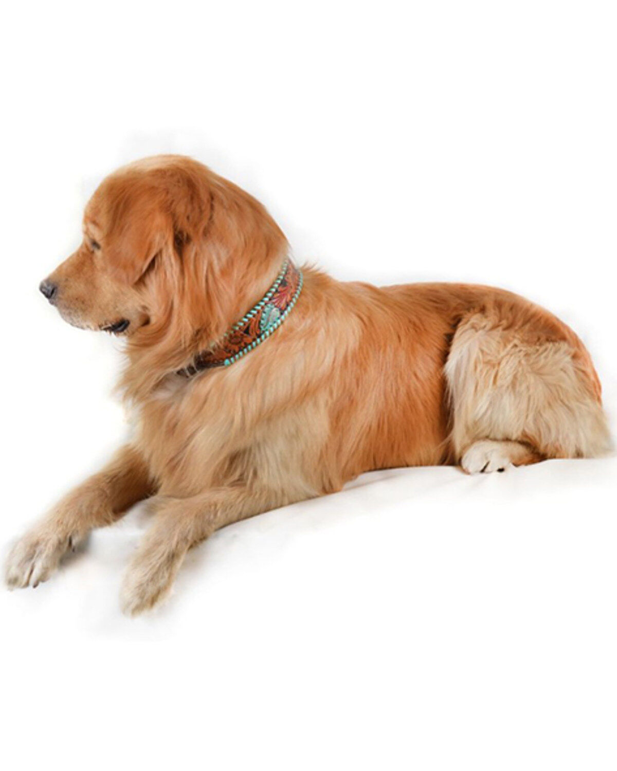 256366-myra-full-bloom-tooled-leather-dog-collar-1.jpg
