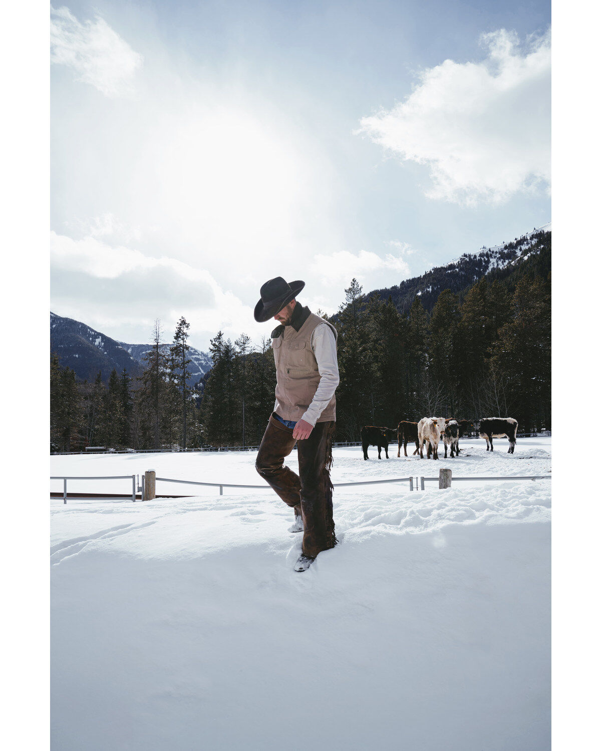 Cody James Men's Tan Ranchero Timberwolf Canvas Vest